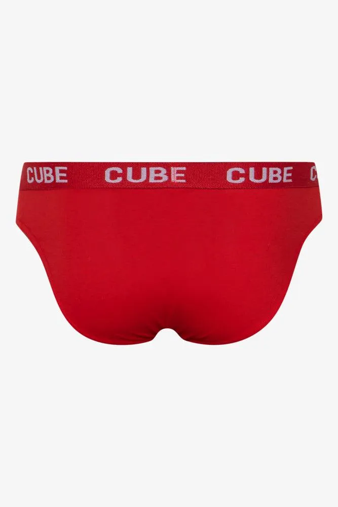 5 Pack Briefs Multi