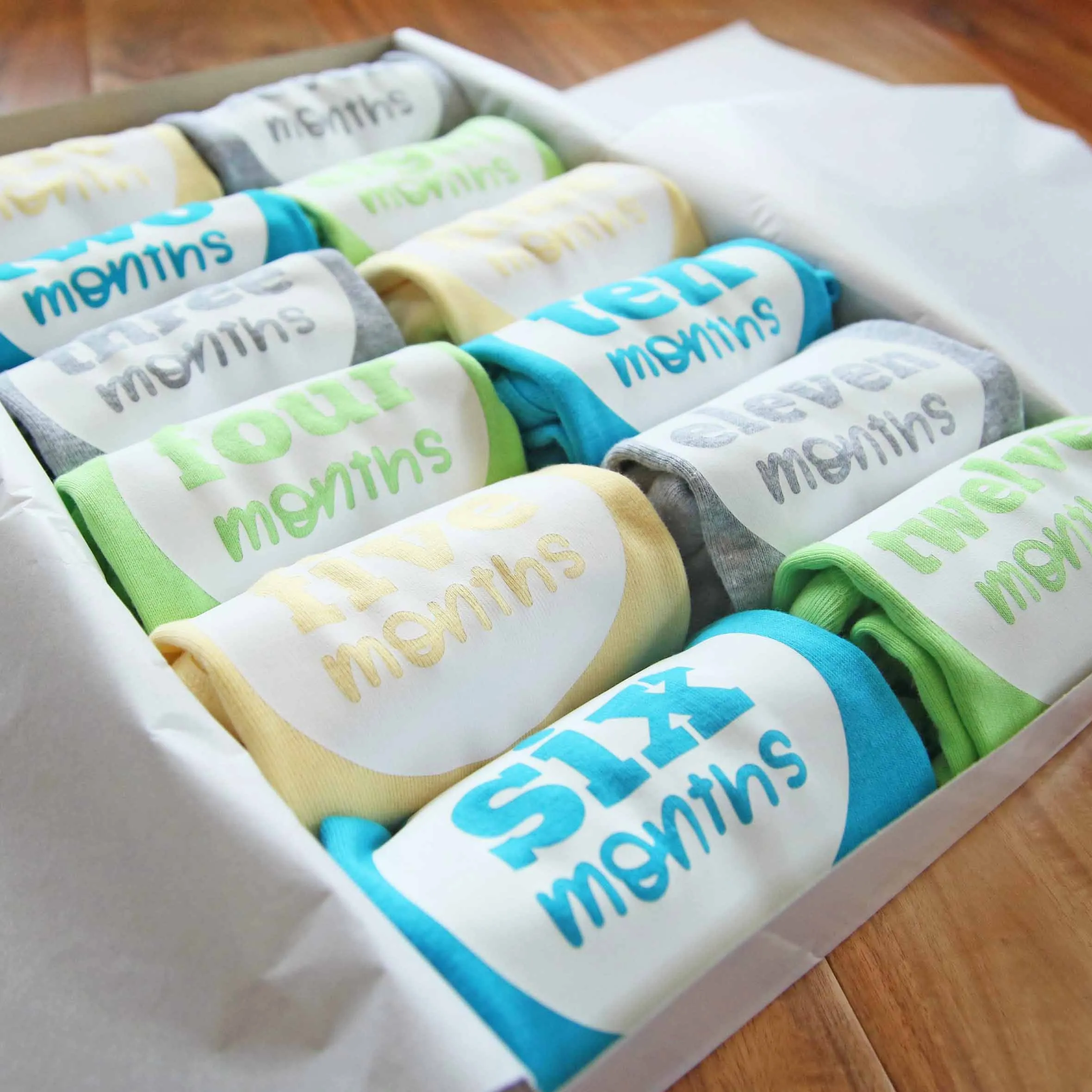 Baby Gender Neutral Monthly Photo Bodysuit Set