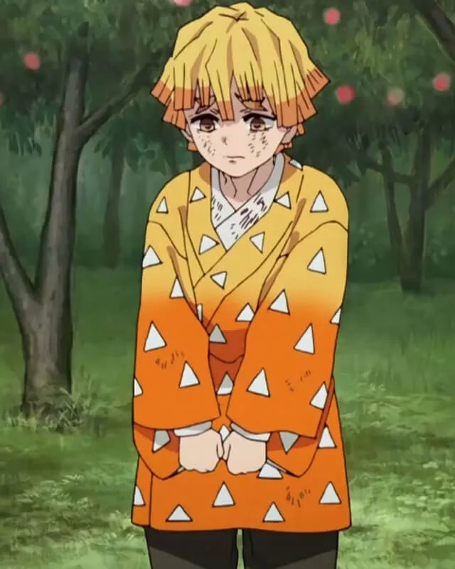 Demon Slayer Zenitsu Agatsuma Coat