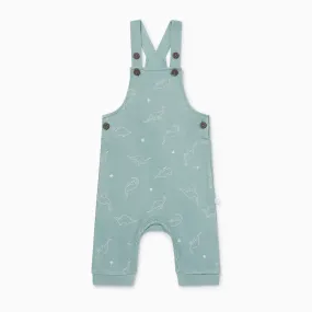 Dino Print Dungarees