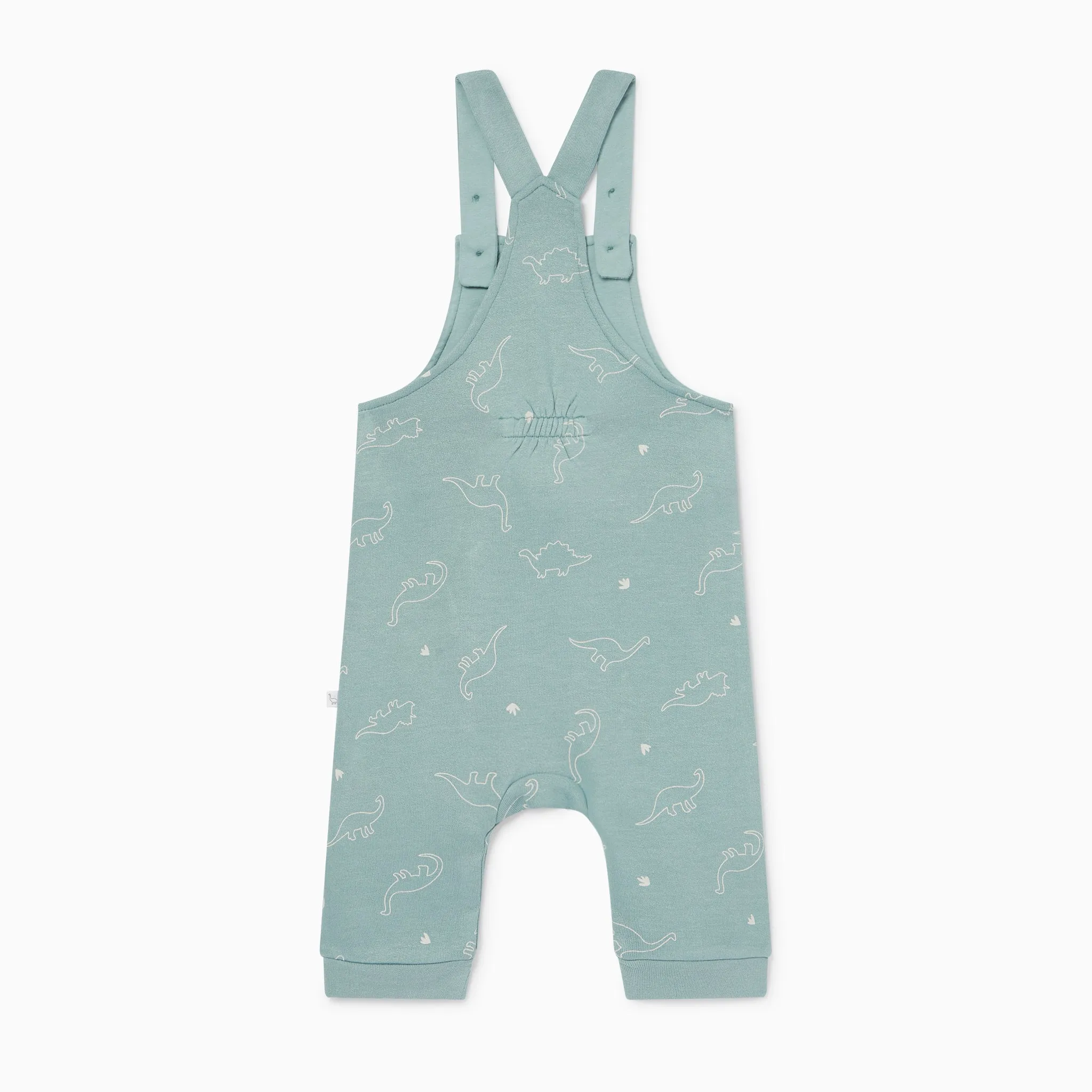 Dino Print Dungarees
