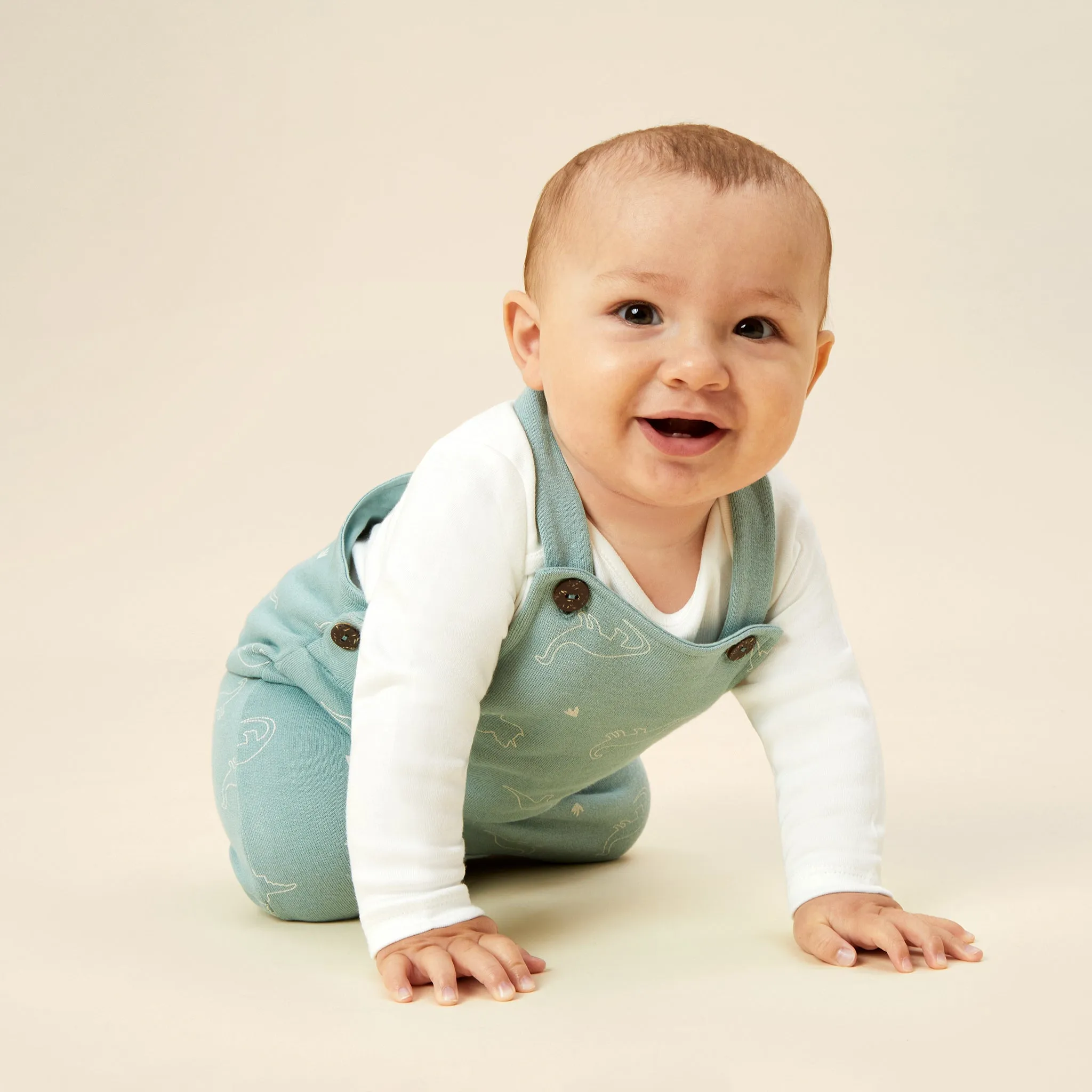Dino Print Dungarees