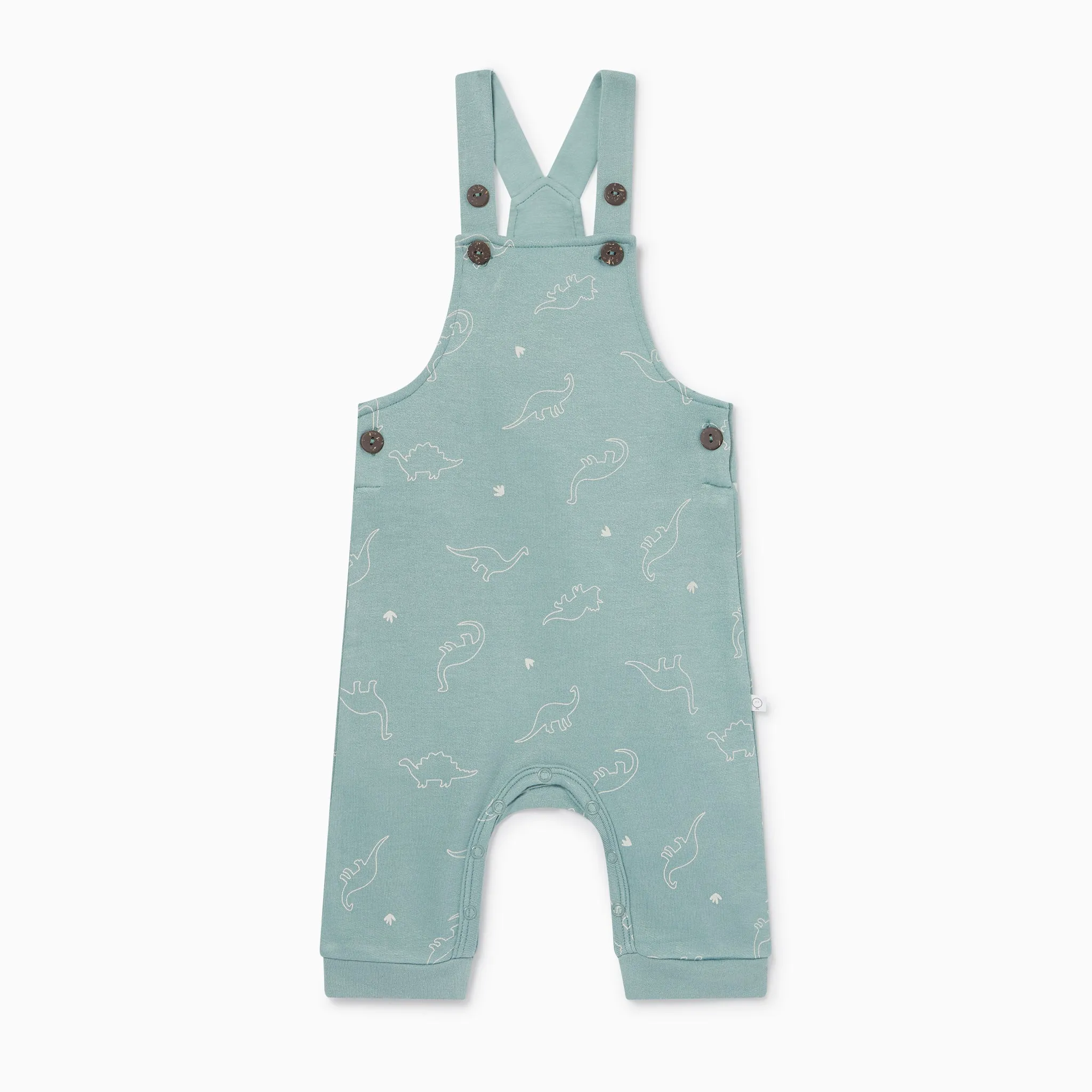 Dino Print Dungarees