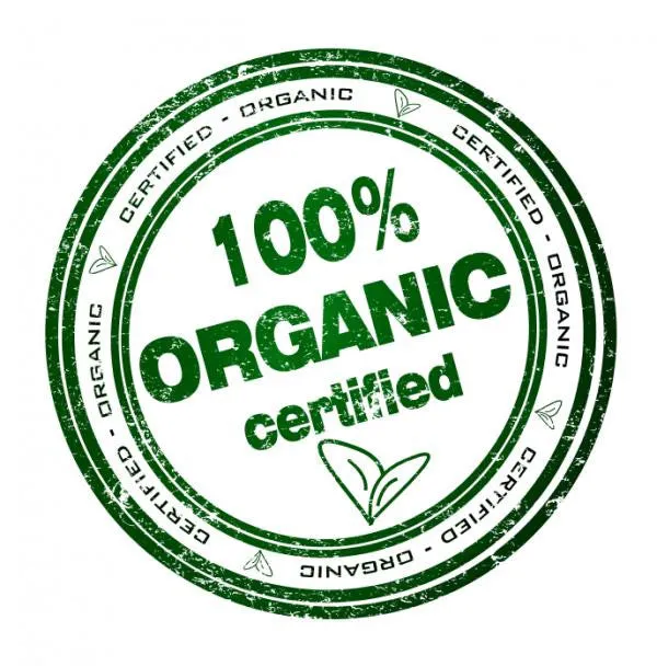 Hedgehog Organic Baby Onesie®