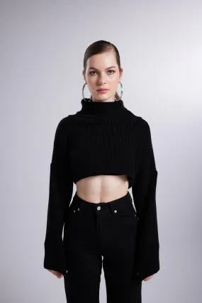 Lirola Turtleneck Crop Sweater Black