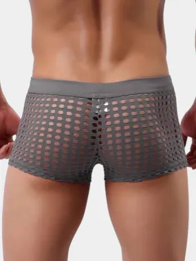 Mesh Hollowed Out Fun Boxer Briefs