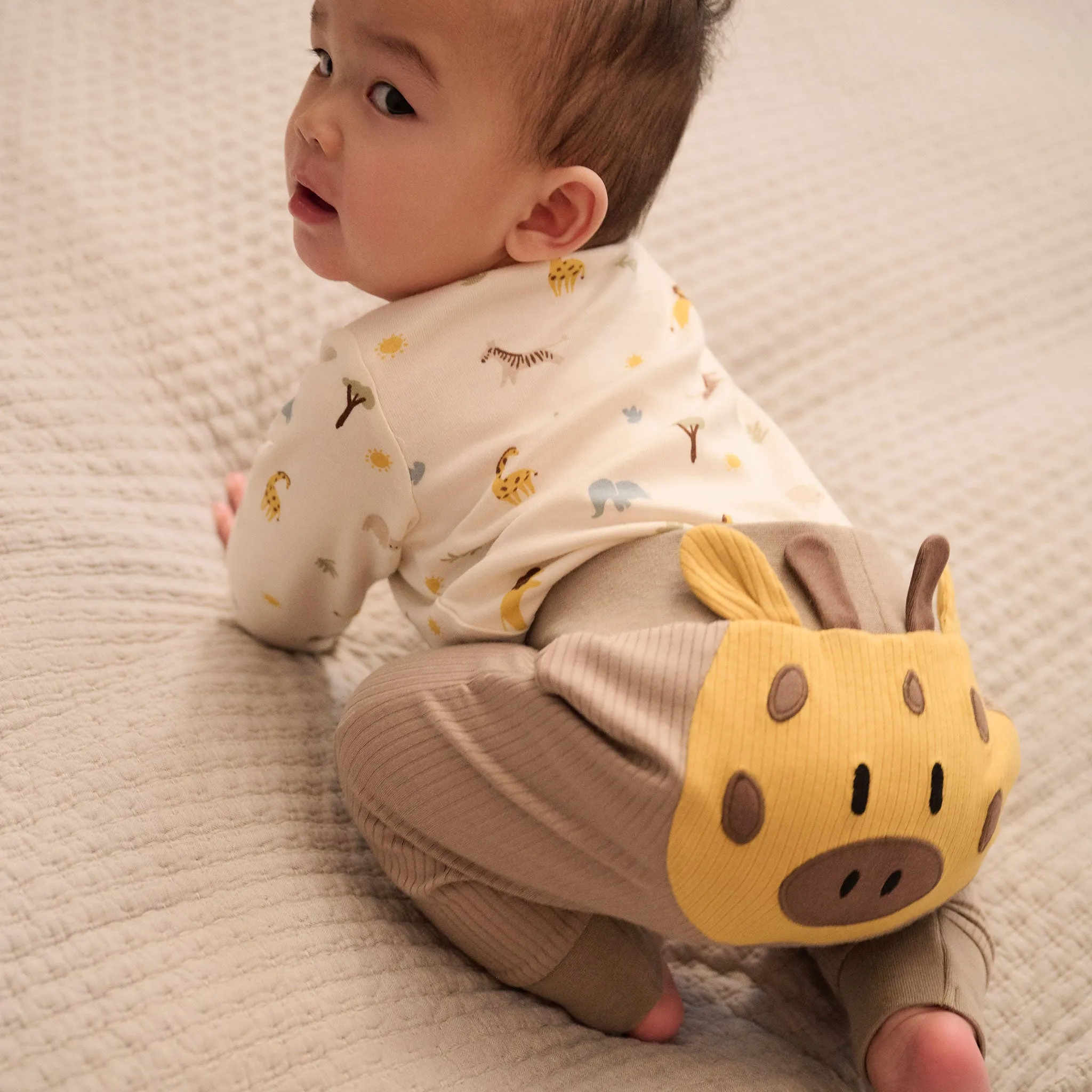 Safari Long Sleeve Bodysuit 4 Pack