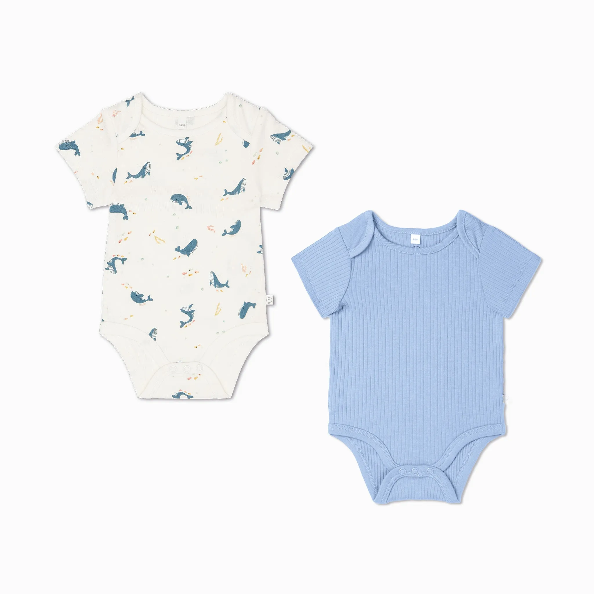 Whale Print & Ribbed Bodysuit 2 Pack